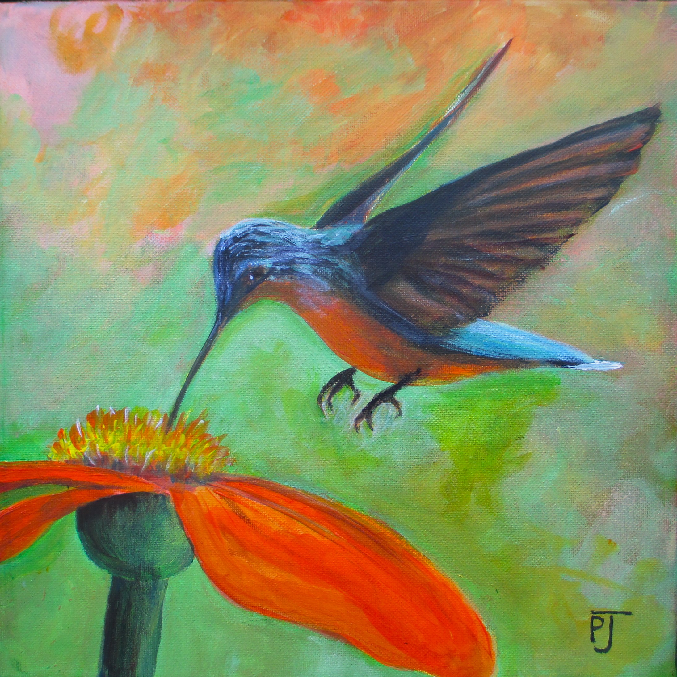 Hummingbird on daisy