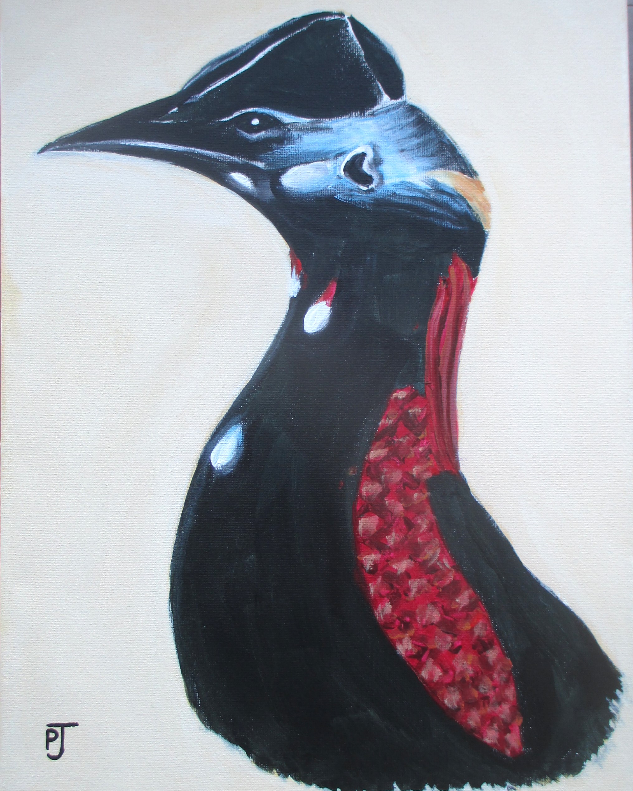 Jamrach cassowary