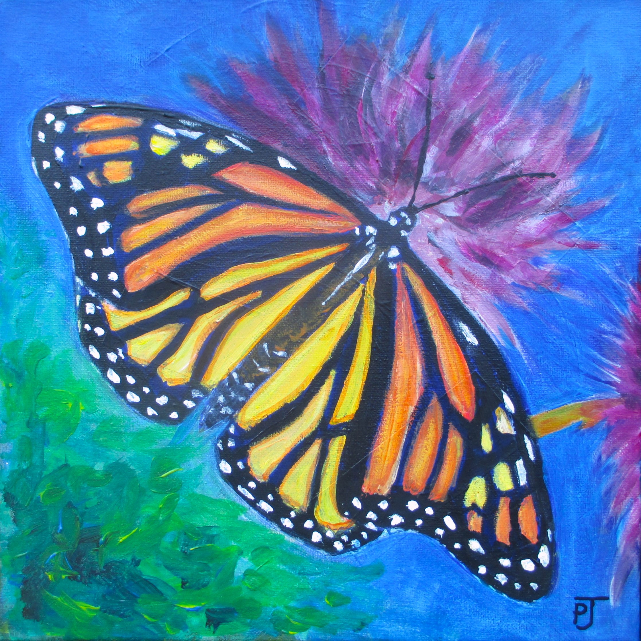 Monarch feeding
